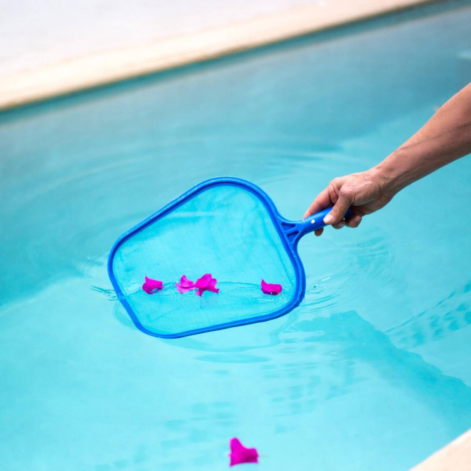 Red de Limpieza Desmontable pa - Pool Skimmer Net reseña y precio