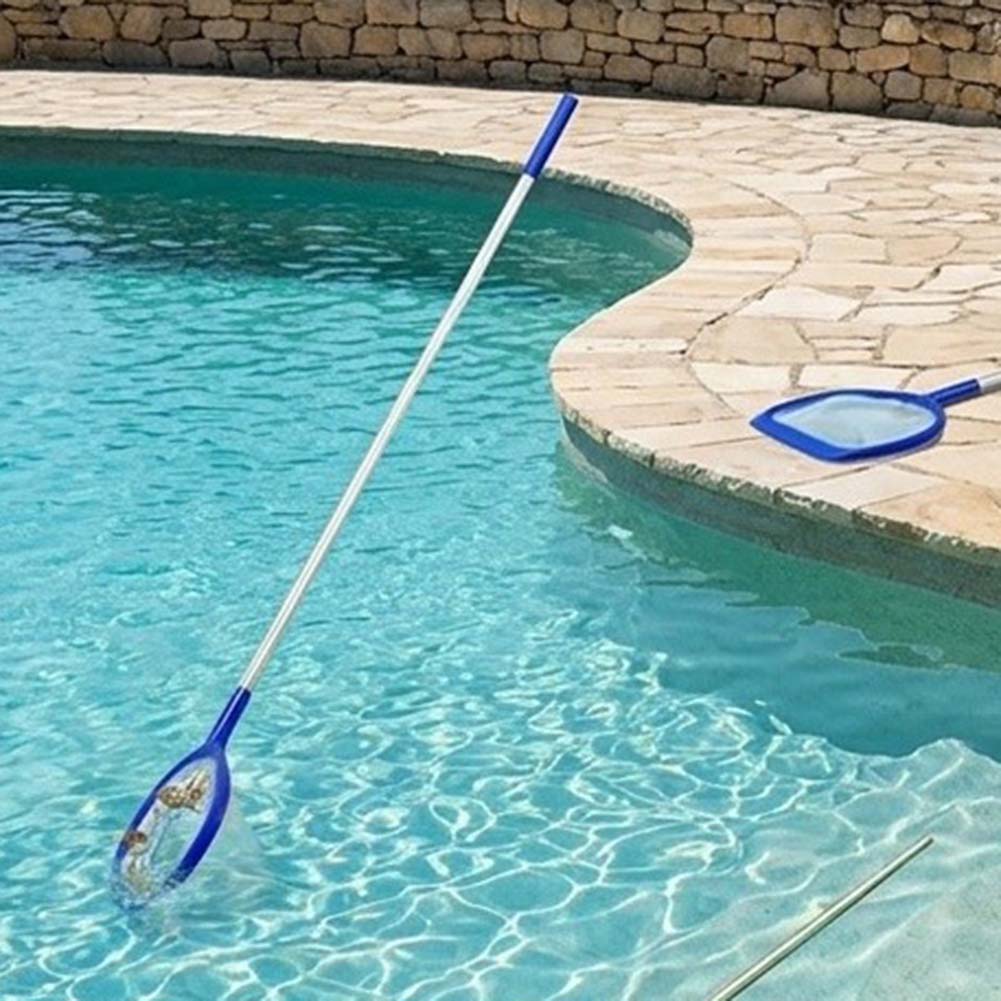 Red de limpieza ligera para pi - Pool Skimmer Net reseña y precio